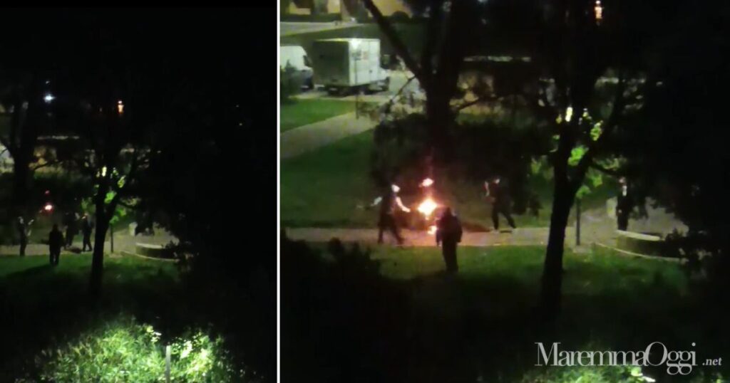 I ragazzi mentre danno fuoco ai fiori della pianta