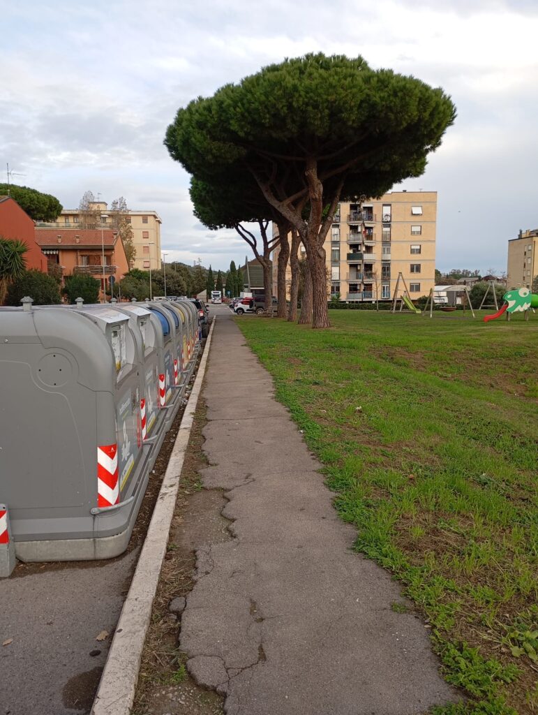 La postazione dei cassonetti in ordine