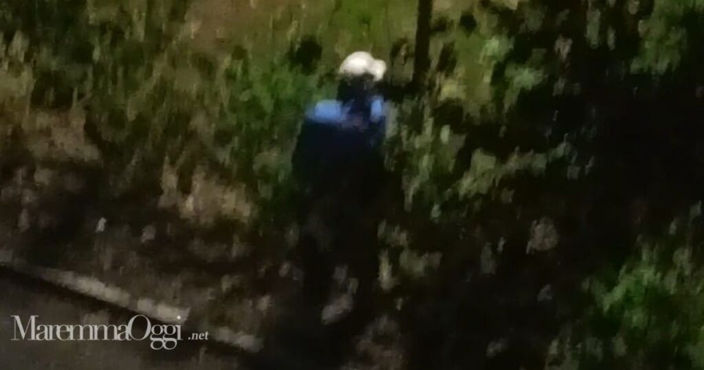 Nella prima foto un uomo che fa i propri bisogni nella siepe