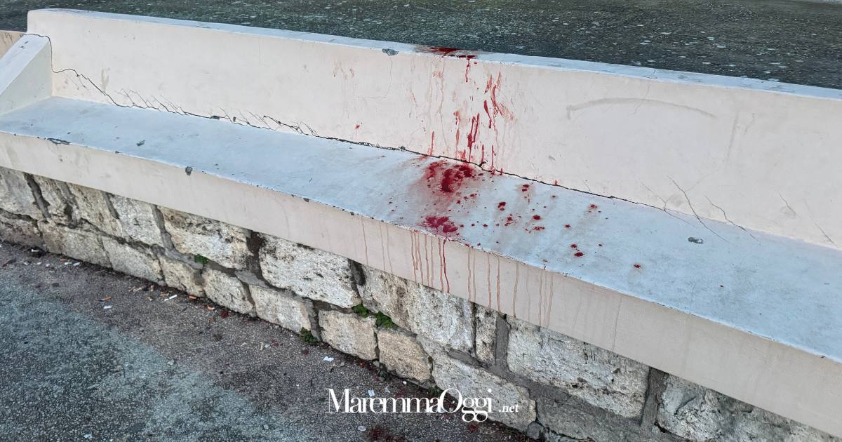 Il sangue sulla panchina alla Cavallerizza