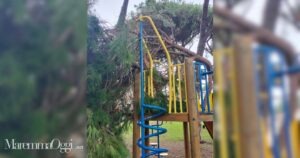 Il ramo caduto sullo scivolo a Marina di Grosseto