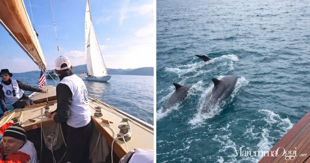 Rinaldi con le sue barche d'epoca e i delfini che danzano