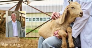 Un controllo in un allevamento (foto d'archivio) e Giorgio Briganti