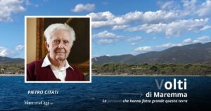 Pietro Citati e la pineta di Roccamare