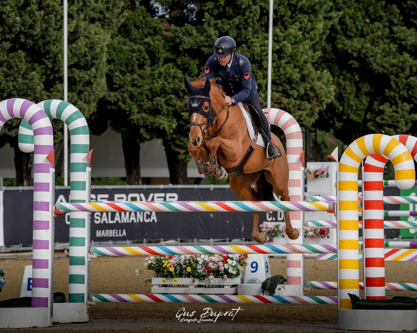 Emilio Bicocchi a Vejer de la Frontera su Hemerald d'Aragonne
