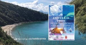 Annuario Arpat 2025: Piombino tra mare eccellente e sfida ambientale per l’industria. Un'immagine di Calamoresca