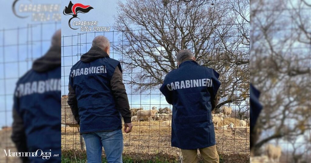 I carabinieri forestali del Nipaf