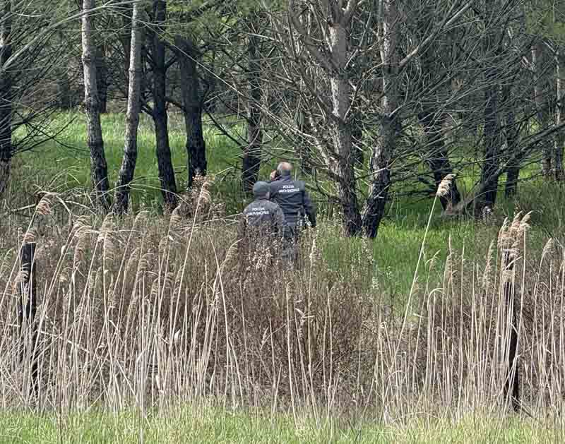 Gli uomini della provinciale nei campi accanto a via Lorenzini