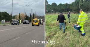 La task force anti-capretta in via Lorenzini e il veterinario con il fucile ad aria compressa con la siringa di narcotico