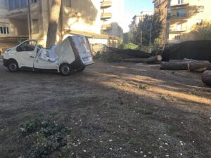 Il pino caduto sul furgone