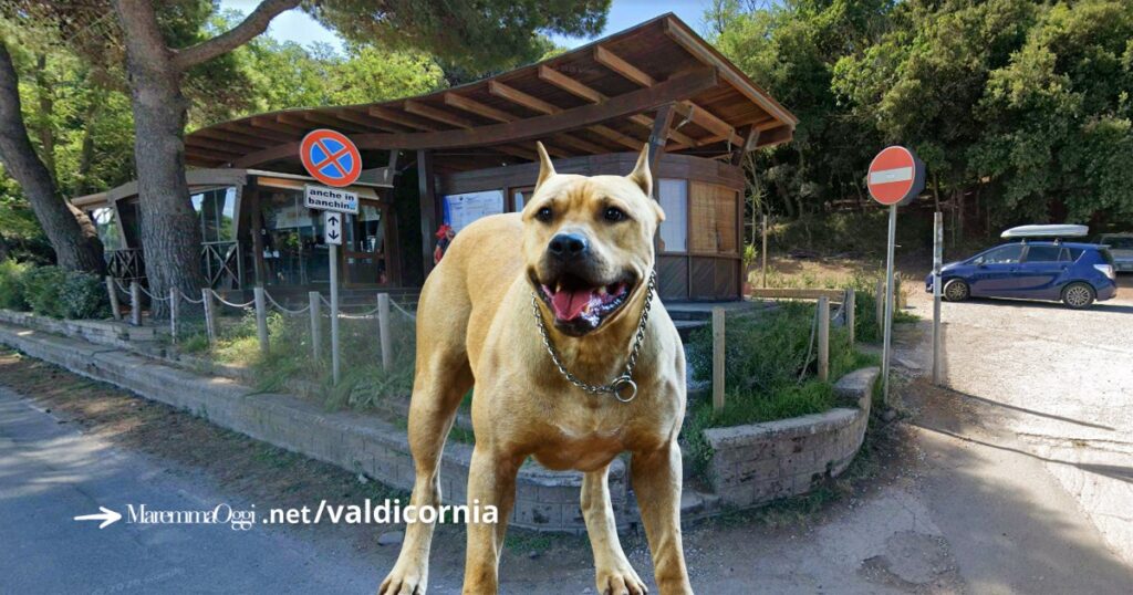 La baracchina di Bernardo a Baratti e un pitbull