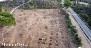 Un momento del rimboschimento a Casetta Civinini