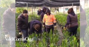 Alcuni giovani ragazzi occupati nel progetto della Nuova Giovanile presso il vivaio