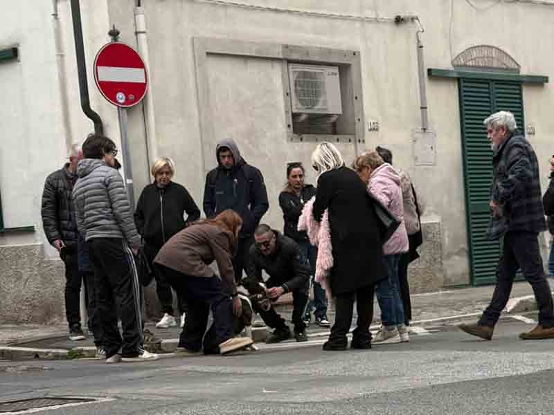 Uno dei cani di Mattia con parenti e amici