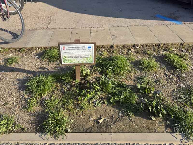 Il cartello "Vietato danneggiare le aiuole" in piazza De Maria