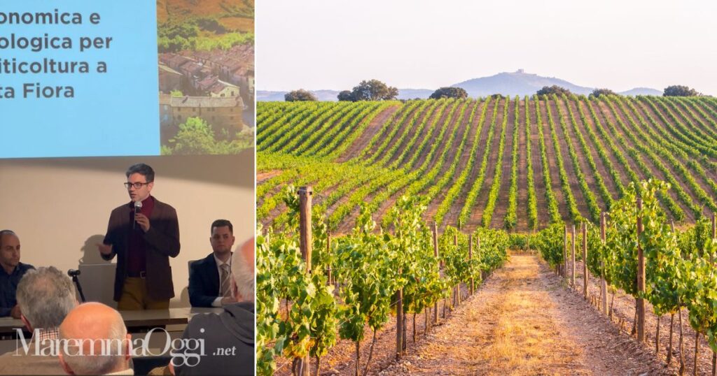 Un momento dell'incontro e alcune vigne