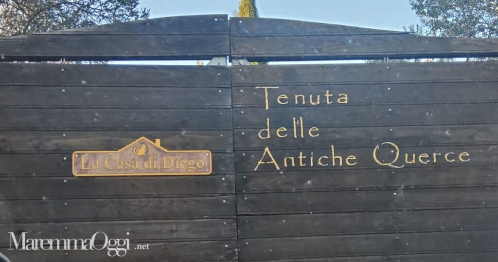 L'ingresso di "La casa di Diego"