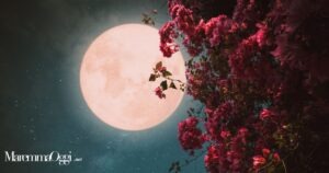 Una luna rosa (foto d'archivio)