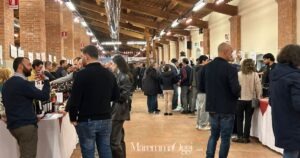 Una momento di MareMMMa – la natura del vino