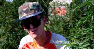 Mattia Giorgi nella sua piantagione di marijuana