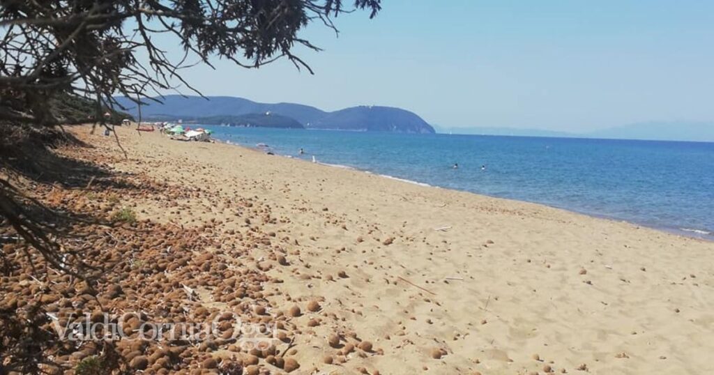 La costa nel parco di Rimigliano