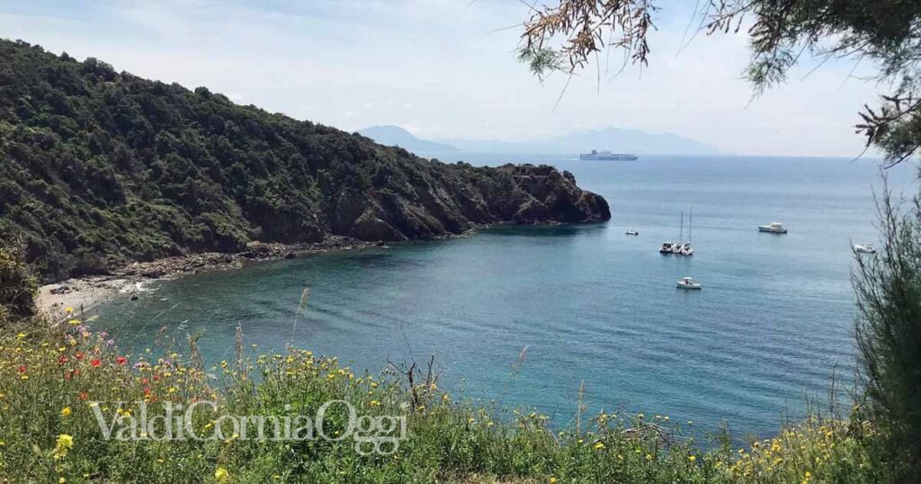 Piombino, una veduta di Calamoresca