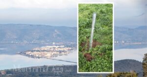 Uno dei pali dei cestini vandalizzati in passeggiata ad Orbetello