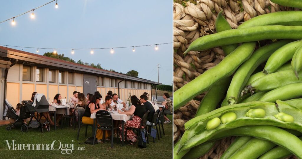 La cantina di Begnardi vini e delle fave