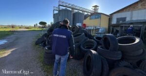 I controlli della Guardia costiera in un'attività (foto di archivio)