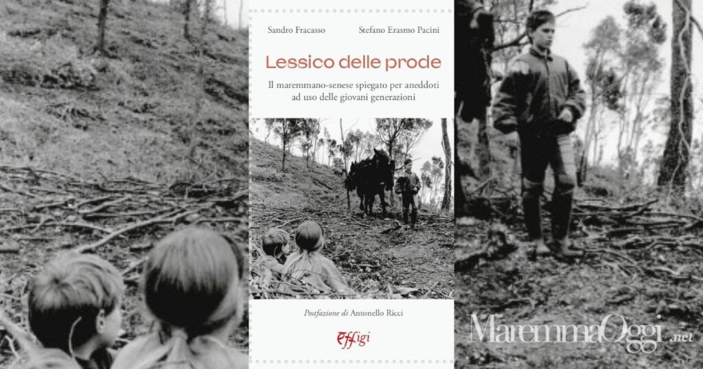La copertina del libro Il lessico della prode