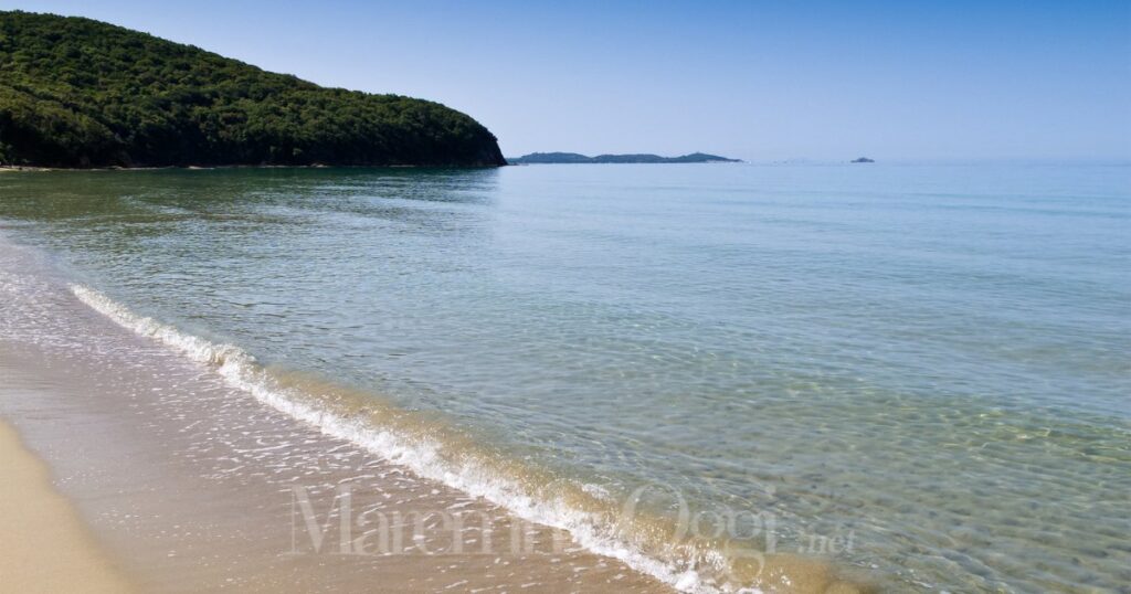 La spiaggia e il mare di Cala Violina