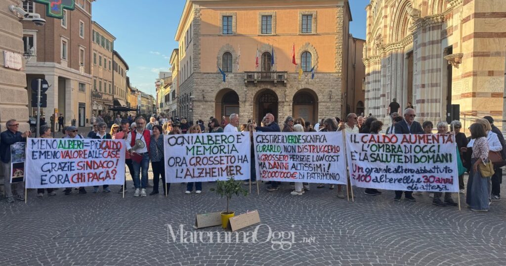 La protesta in piazza per il taglio degli alberi