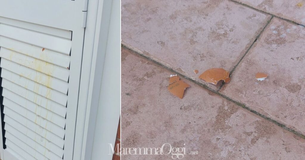 Le uova lanciate sulla persiana