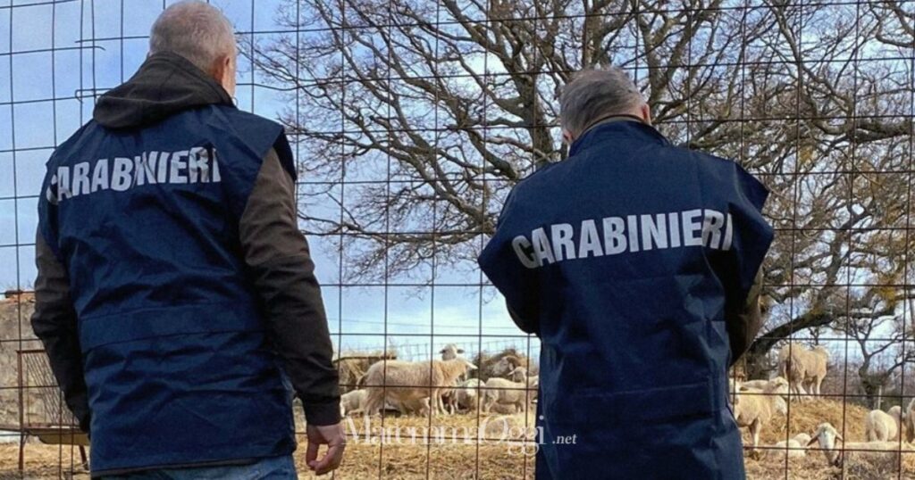 L'intervento dei carabinieri a Roccalbegna