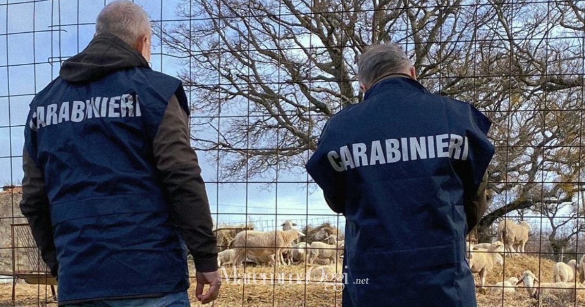 L'intervento dei carabinieri a Roccalbegna