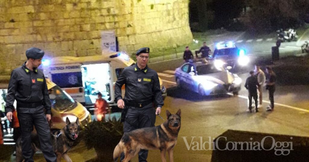 Controlli straordinari anti movida, anche con cani antidroga, in centro a Piombino