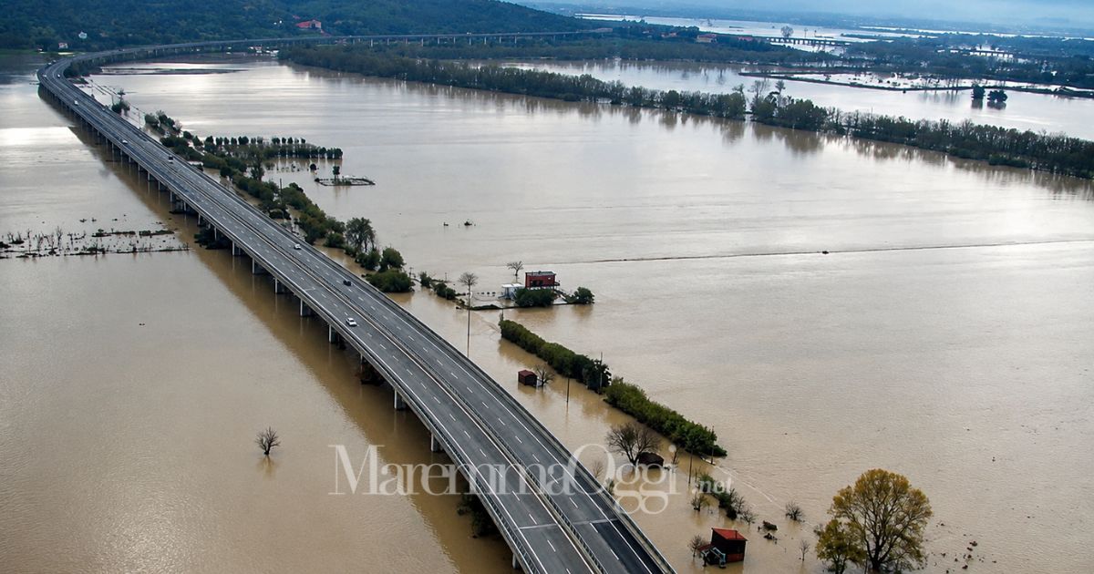 L'Ombrone in golena sotto all'Aurelia, fra Grosseto Est e Grosseto Sud