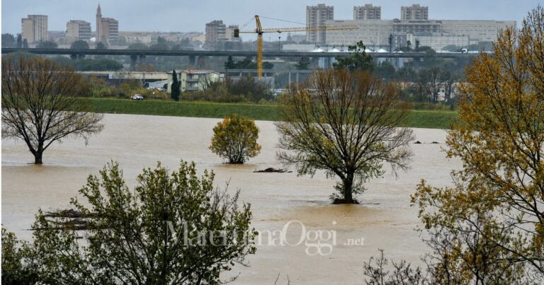 L'Ombrone in golena e, sullo sfondo, la città di Grosseto