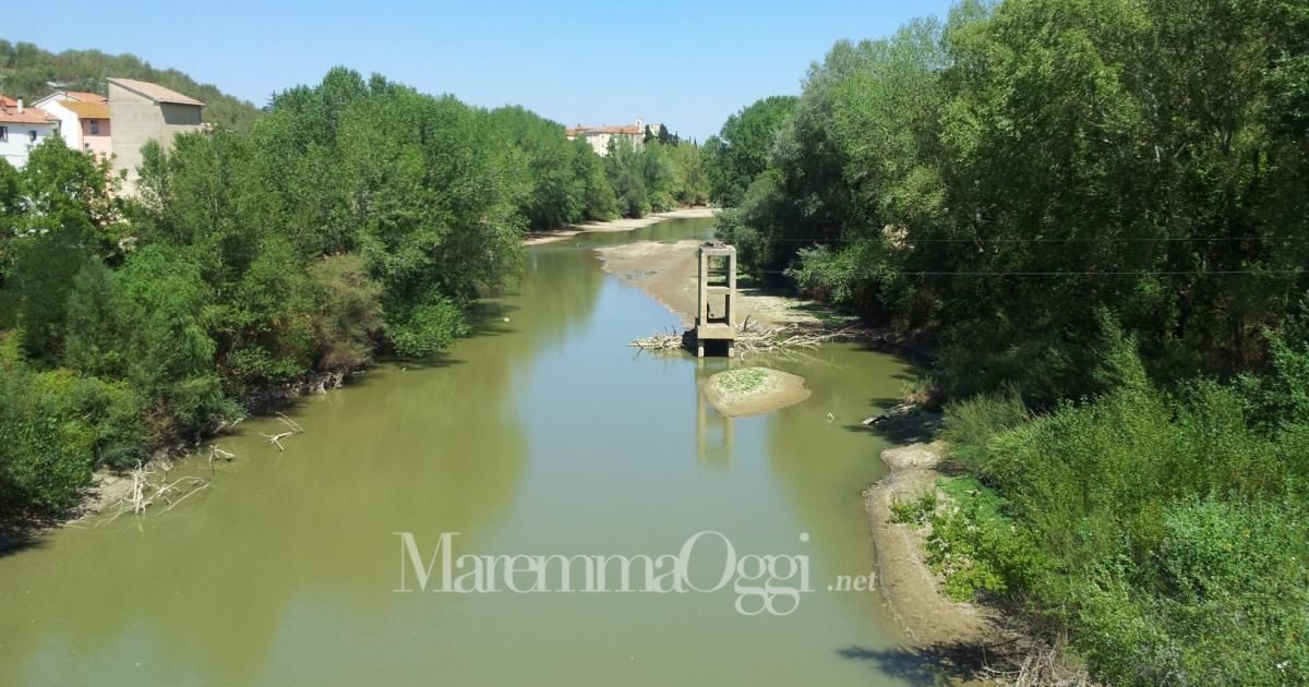 L'Ombrone a Istia, in estate