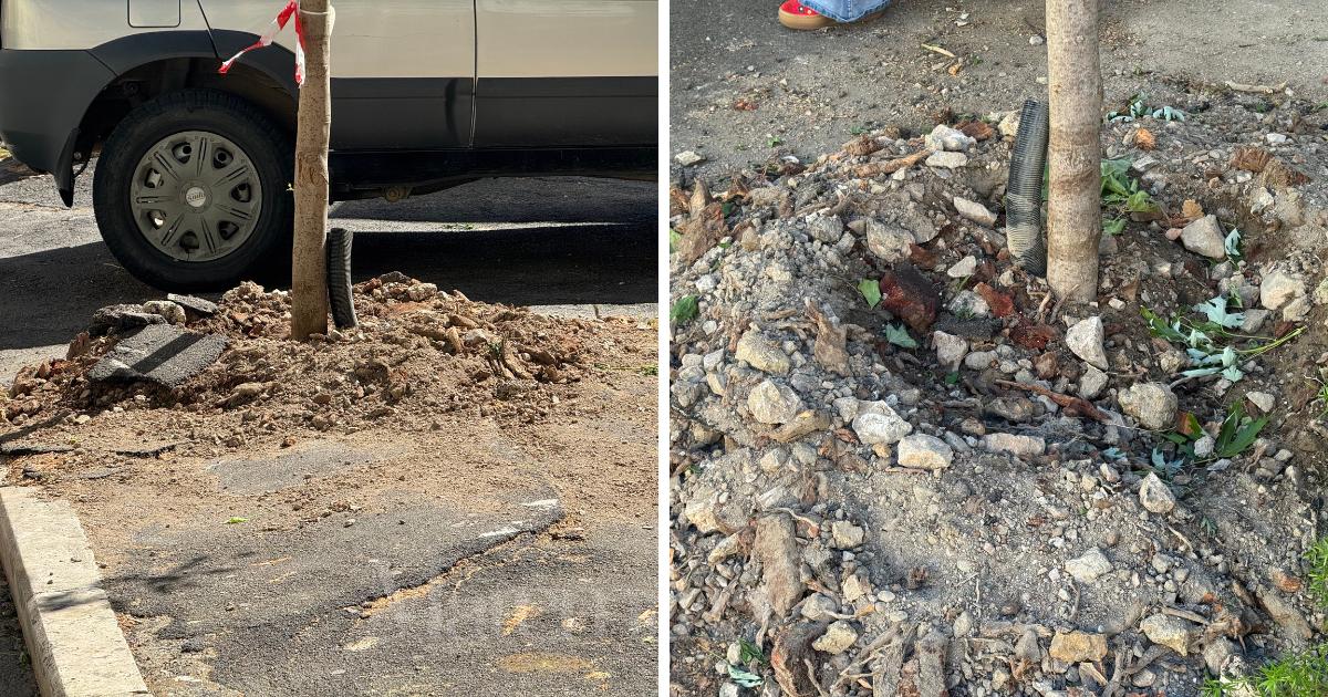 Le condizioni della piazza dopo il taglio