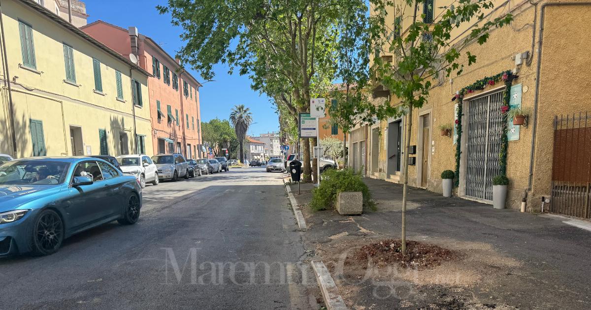 Piazza Ponchielli dopo il taglio dei platani