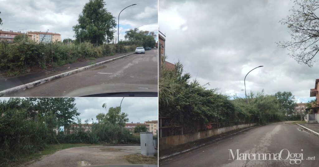 Via Italo Fazzi e le erbacce