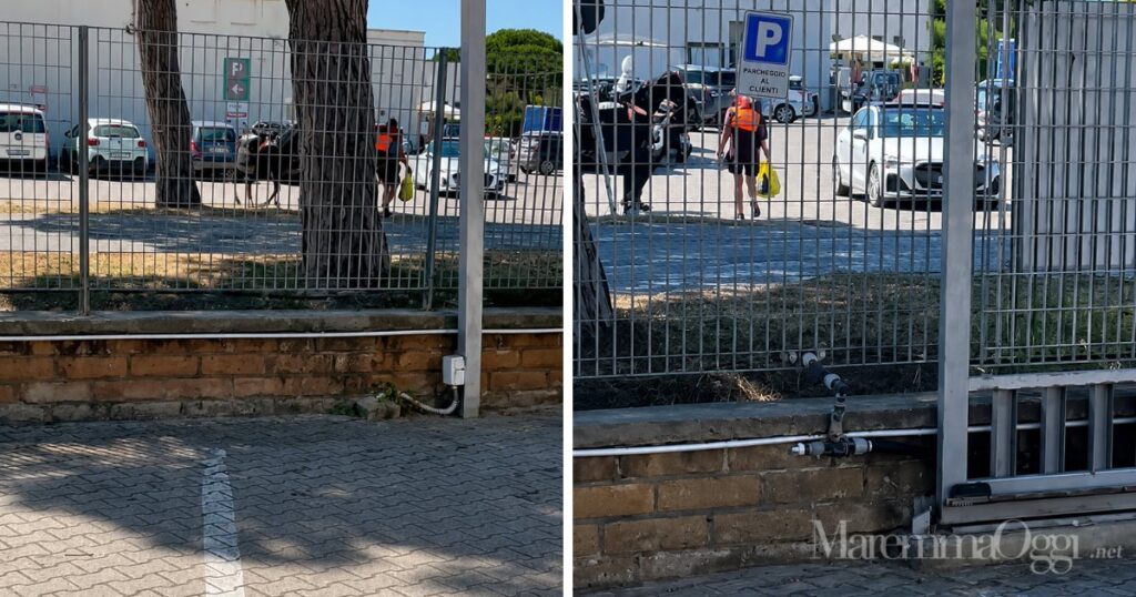 Fa la spesa al supermercato a cavallo