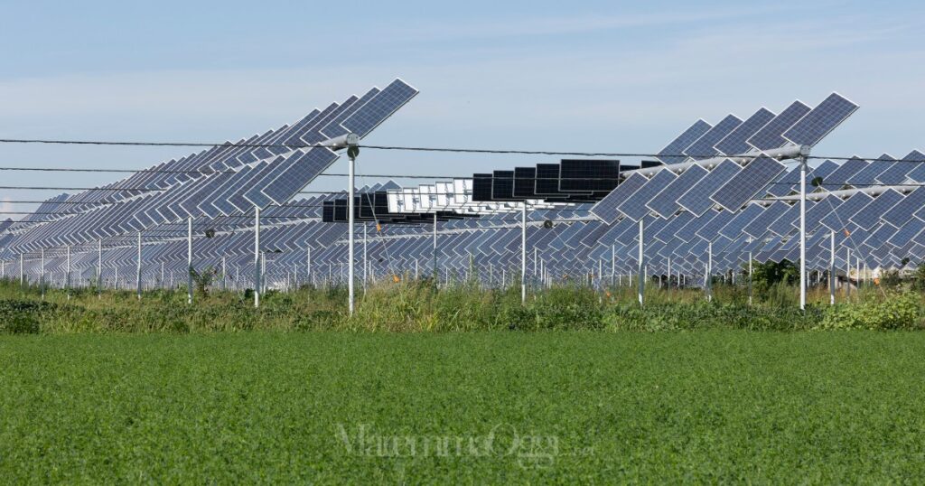 Un impianto agrivoltaico