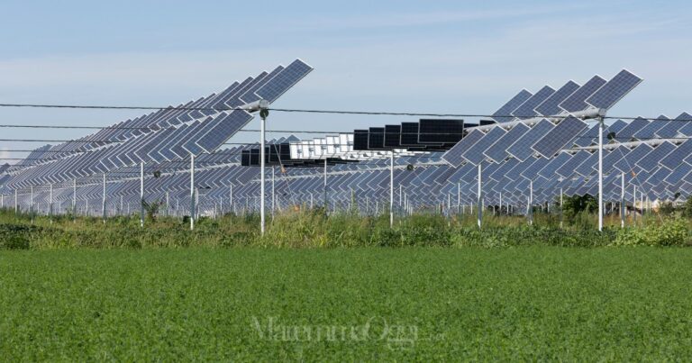 Un impianto agrivoltaico
