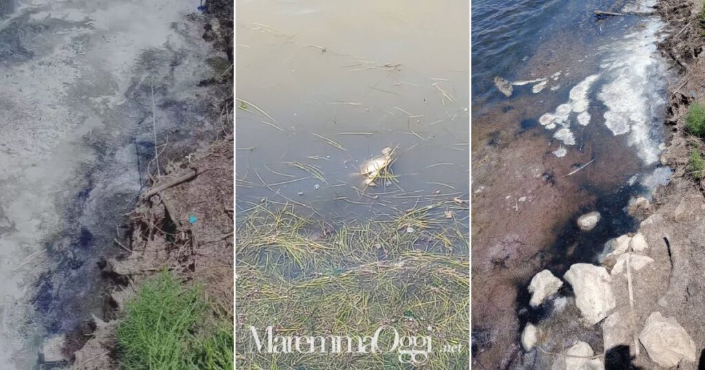 Come si presenta la laguna di Orbetello