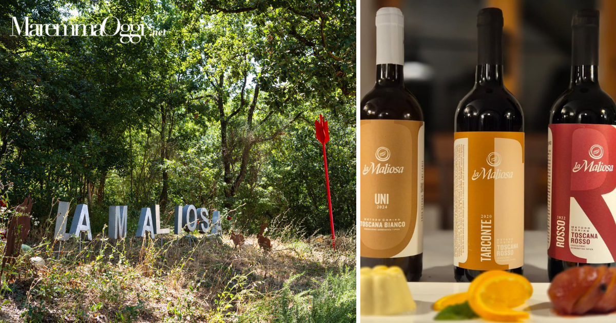 Wine Travel Awards: Fattoria La Maliosa è la più votata nella categoria Progressive Approach