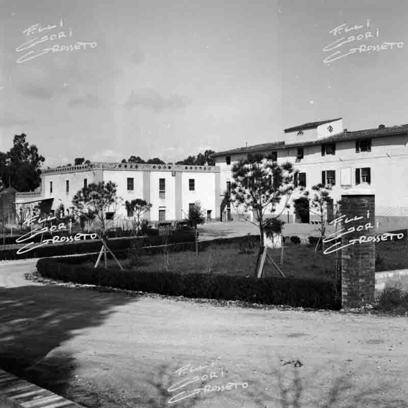 La tenuta di Gorarella nel 1955 (foto archivio Gori, Grosseto)