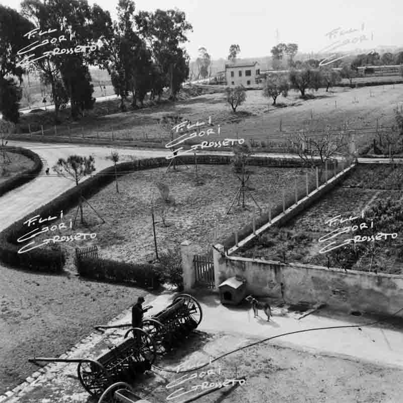 L'esterno della tenuta di Gorarella nel 1955 (foto archivio Gori, Grosseto)