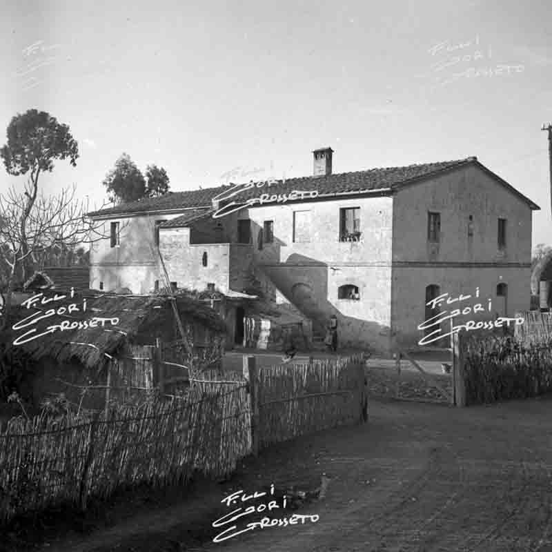 La tenuta di Gorarella nel 1951 (foto archivio Gori, Grosseto)